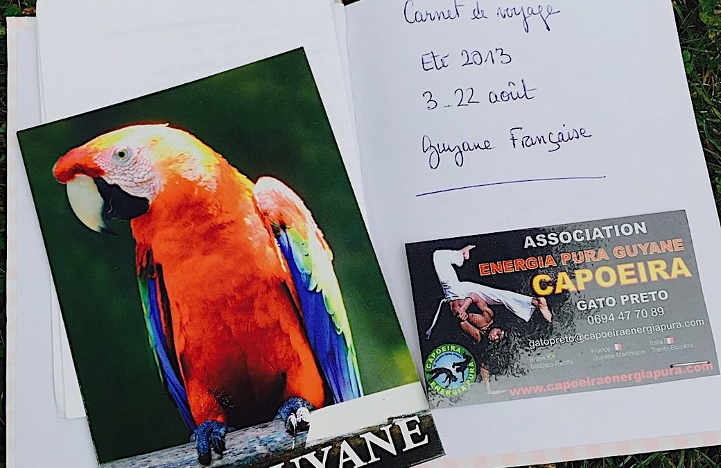 le joli cahier de… Virginie