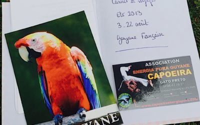 le joli cahier de… Virginie